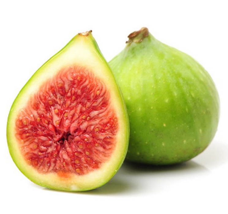 نهال انجیر سفید عسلی